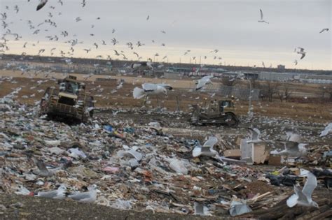 landfill regina